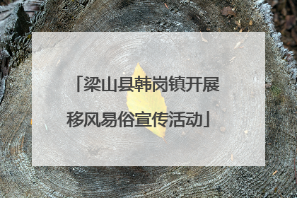 梁山县韩岗镇开展移风易俗宣传活动