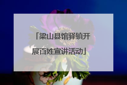梁山县馆驿镇开展百姓宣讲活动