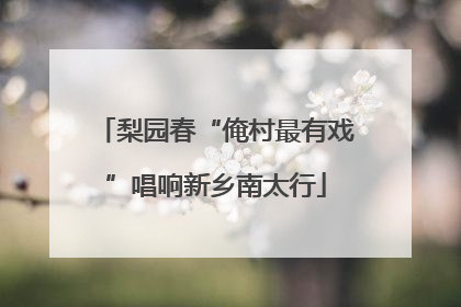 梨园春“俺村最有戏”唱响新乡南太行