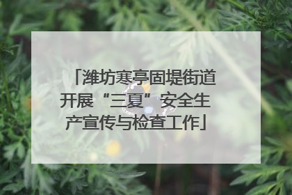 潍坊寒亭固堤街道开展“三夏”安全生产宣传与检查工作
