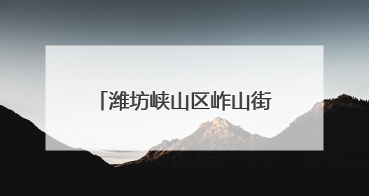 潍坊峡山区岞山街道：聚力集采谋发展 便民惠民办实事