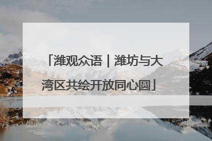 潍观众语｜潍坊与大湾区共绘开放同心圆