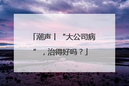 潮声丨“大公司病”，治得好吗？