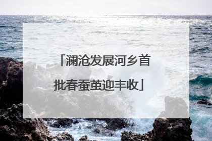 澜沧发展河乡首批春蚕茧迎丰收