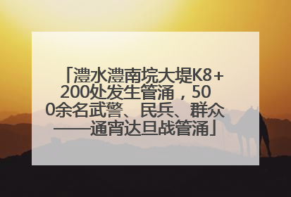 澧水澧南垸大堤K8+200处发生管涌，500余名武警、民兵、群众——通宵达旦战管涌