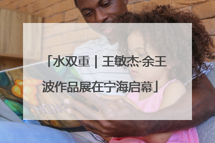 水双重｜王敏杰·余王波作品展在宁海启幕