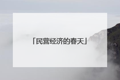 民营经济的春天