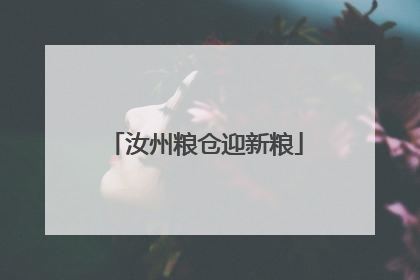 汝州粮仓迎新粮