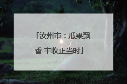 汝州市：瓜果飘香 丰收正当时