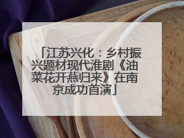 江苏兴化：乡村振兴题材现代淮剧《油菜花开燕归来》在南京成功首演