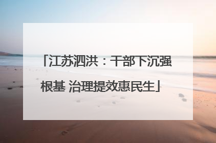 江苏泗洪：干部下沉强根基 治理提效惠民生