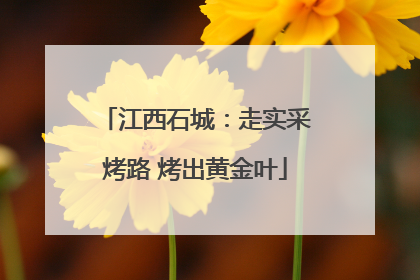 江西石城：走实采烤路 烤出黄金叶