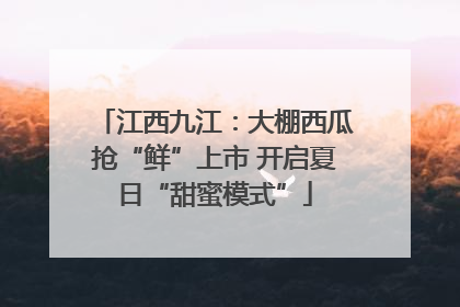 江西九江：大棚西瓜抢“鲜”上市 开启夏日“甜蜜模式”