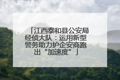 江西泰和县公安局经侦大队：运用新型警务助力护企安商跑出“加速度”