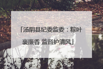 汤阴县纪委监委：粽叶裹廉香 监督护清风