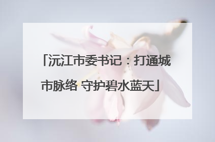 沅江市委书记：打通城市脉络 守护碧水蓝天