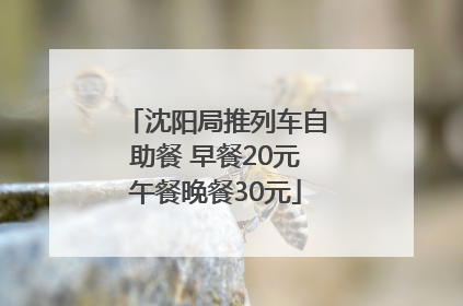 沈阳局推列车自助餐 早餐20元午餐晚餐30元