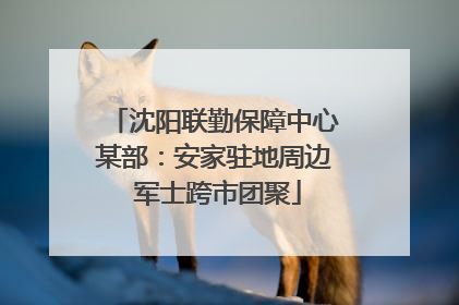 沈阳联勤保障中心某部：安家驻地周边 军士跨市团聚