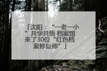 沈阳：“一老一小”共学共悟 档案馆来了30位“红色档案修复师”