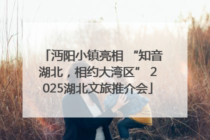 沔阳小镇亮相 “知音湖北，相约大湾区” 2025湖北文旅推介会