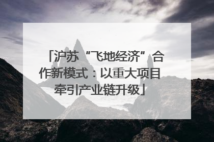 沪苏“飞地经济”合作新模式：以重大项目牵引产业链升级