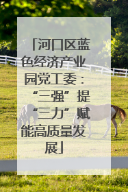 河口区蓝色经济产业园党工委：“三强”提“三力”赋能高质量发展
