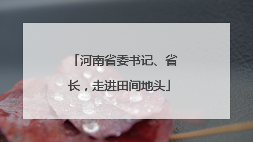 河南省委书记、省长，走进田间地头