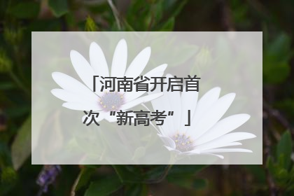 河南省开启首次“新高考”