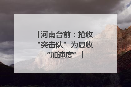 河南台前：抢收“突击队”为夏收“加速度”