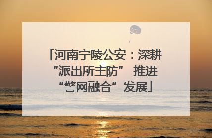 河南宁陵公安：深耕“派出所主防” 推进“警网融合”发展