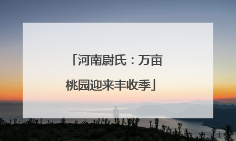 河南尉氏：万亩桃园迎来丰收季