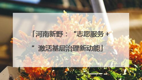 河南新野：“志愿服务＋”激活基层治理新动能