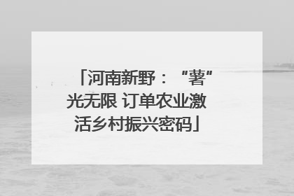 河南新野：“薯”光无限 订单农业激活乡村振兴密码