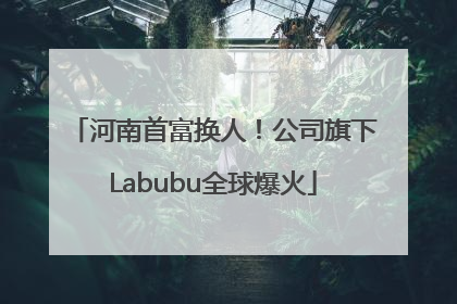 河南首富换人！公司旗下Labubu全球爆火