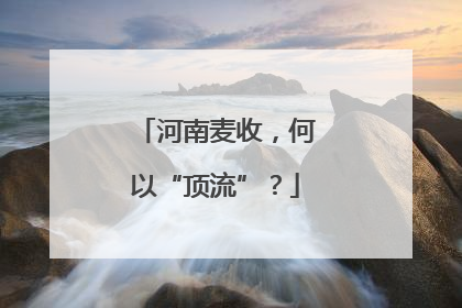 河南麦收，何以“顶流”？