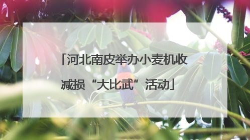 河北南皮举办小麦机收减损“大比武”活动