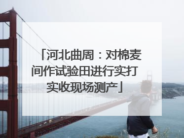 河北曲周：对棉麦间作试验田进行实打实收现场测产