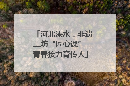 河北涞水：非遗工坊“匠心课” 青春接力育传人