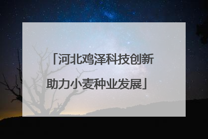 河北鸡泽科技创新助力小麦种业发展