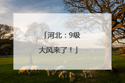 河北：9级大风来了！