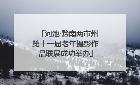 河池·黔南两市州第十一届老年摄影作品联展成功举办