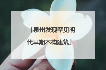 泉州发现罕见明代早期木构建筑