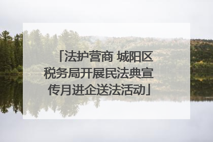 法护营商 城阳区税务局开展民法典宣传月进企送法活动