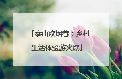 泰山炊烟巷：乡村生活体验游火爆