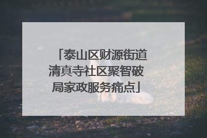 泰山区财源街道清真寺社区聚智破局家政服务痛点