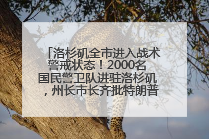 洛杉矶全市进入战术警戒状态！2000名国民警卫队进驻洛杉矶，州长市长齐批特朗普“制造混乱”