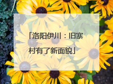 洛阳伊川：旧寨村有了新面貌