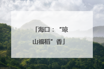 海口：“琼山福稻”香