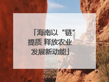 海南以“链”提质 释放农业发展新动能