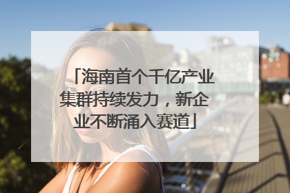 海南首个千亿产业集群持续发力，新企业不断涌入赛道